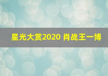 星光大赏2020 肖战王一博